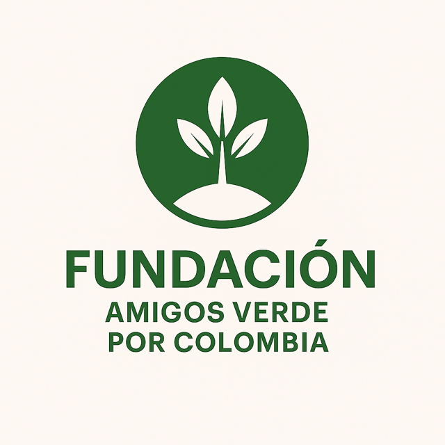 Logo Fundación